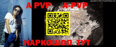 СК Новозыбков