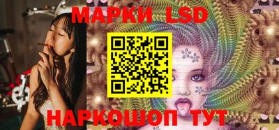 гидра Новодвинск