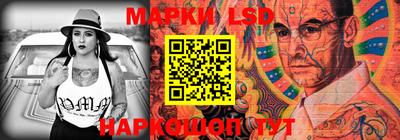 гидра Новодвинск