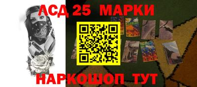 СК Новозыбков
