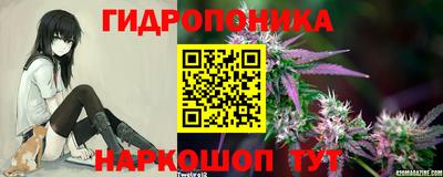 СК Новозыбков