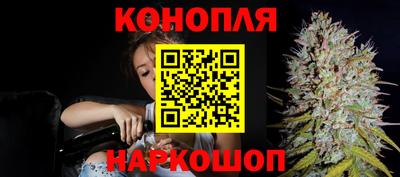гидра Новодвинск