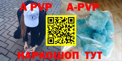 СК Новозыбков