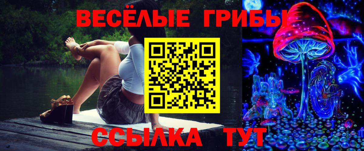 Псилоцибиновые грибы мицелий  Галлюциногенные грибы мицелий  Рузаевка  что такое   Вход с VPN 