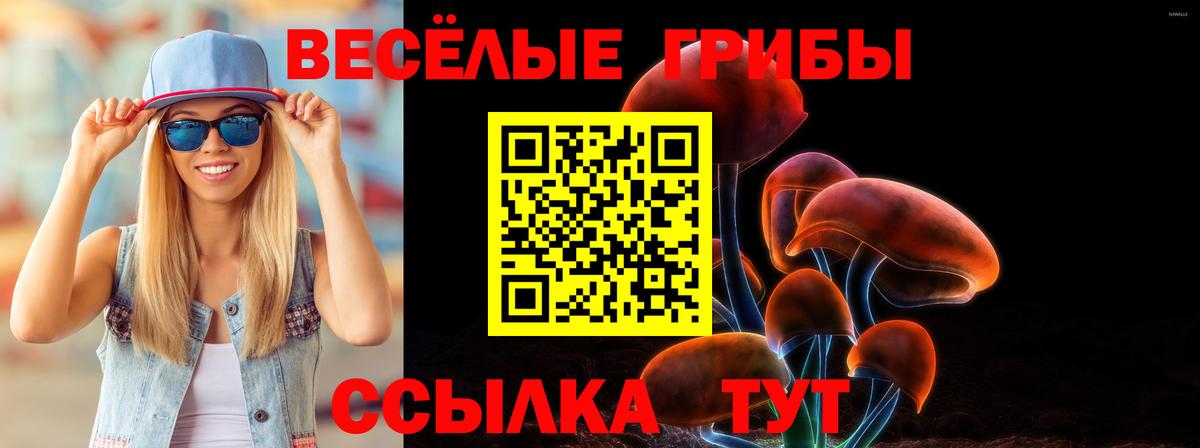 Галлюциногенные грибы Magic Shrooms Рузаевка
